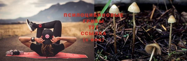 твердый Россошь