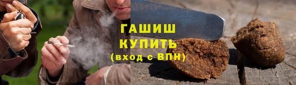 дмт Бородино