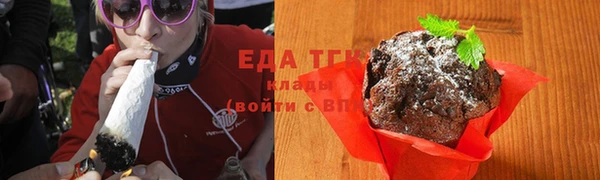 дмт Бородино