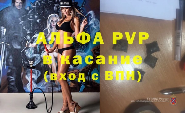 дмт Бородино