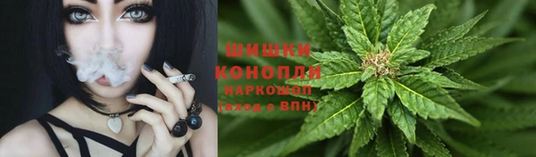 молекула духа Рославль