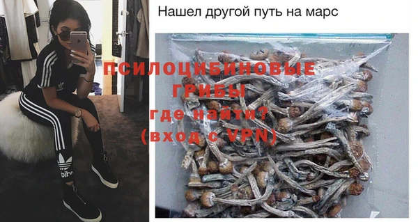 мдпв Бугульма