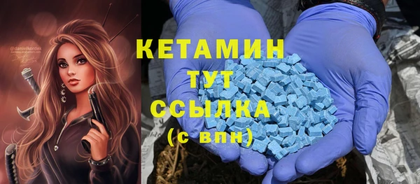 дмт Бородино