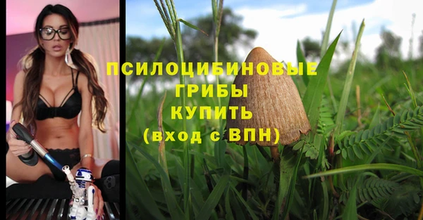 мдпв Бугульма